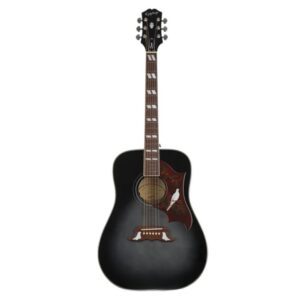 EIADV-TEB Dove Studio Acoustic-electric Transparent Ebony- Front