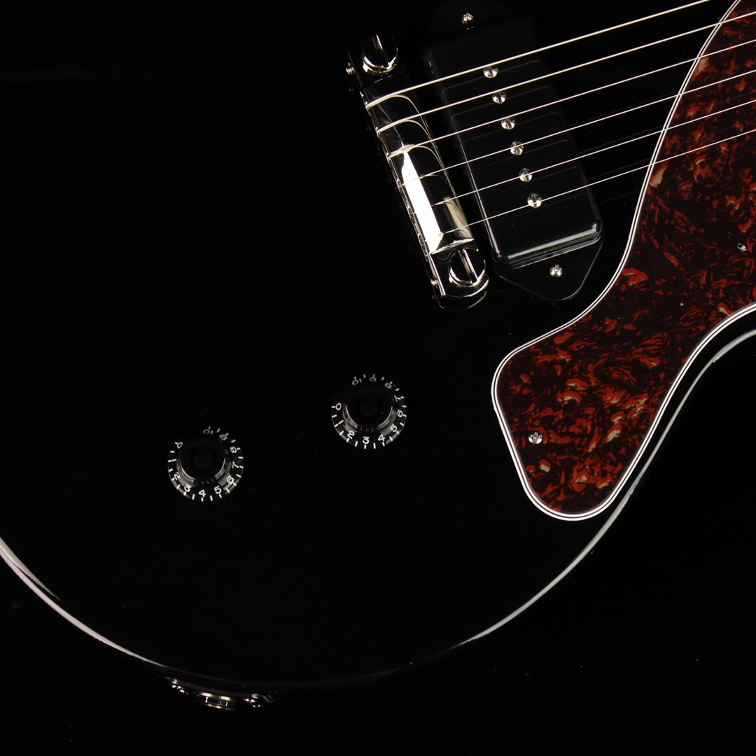 basic volume and tone controls. 