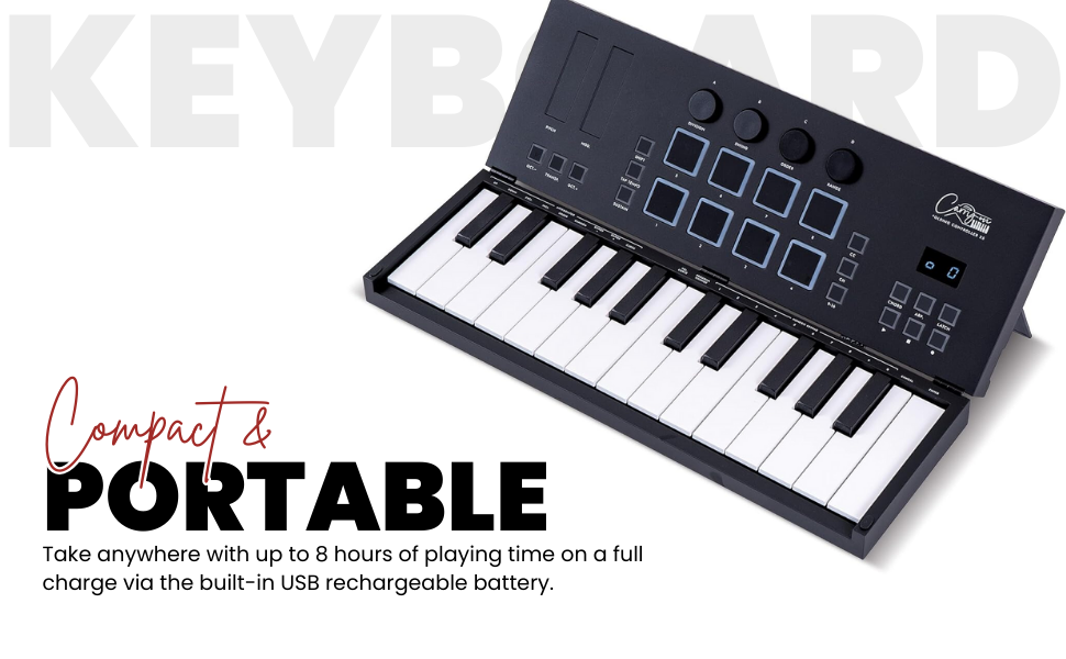 Carry-On Folding Controller 25