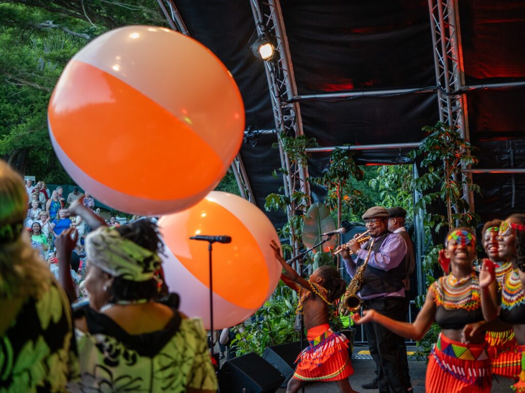 Mango Groove 40 Years of Music