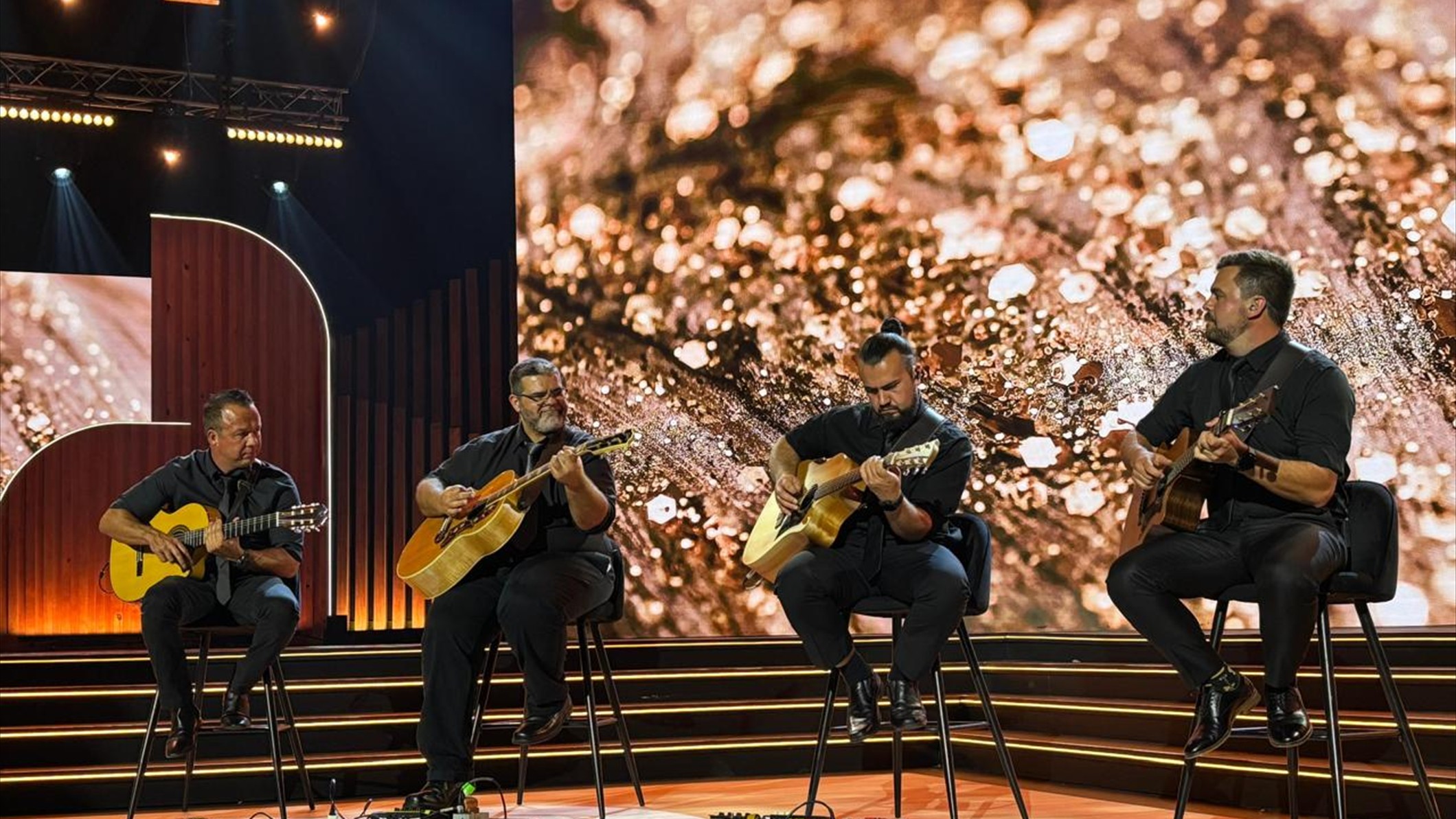 24 Strings A Symphony of Guitar Mastery