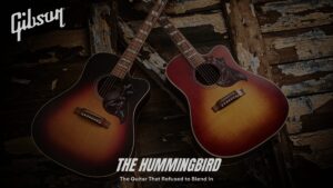 Gibson and The Hummingbird
